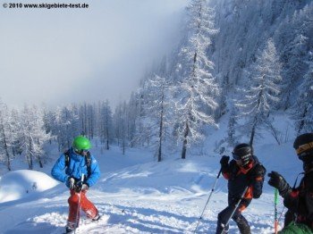 Vorbereitung auf den nächsten tree run!
