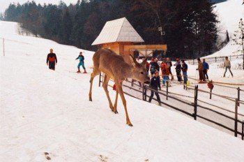 © cnazoty.pl