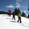 Auf Schneeschuhwanderungen kannst du die verschneite Landschaft erkunden.