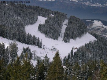 Rund die Hälfte des Skigebietes liegt unterhalb der Baumgrenze!