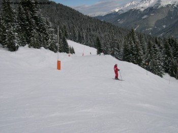 Schön für Familien: Die tiefer liegenden Regionen des Skigebietes bieten fast durchgehend blaue Pisten!