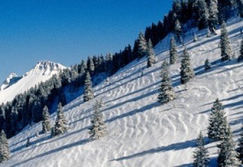 ©http://www.les-paccots.ch