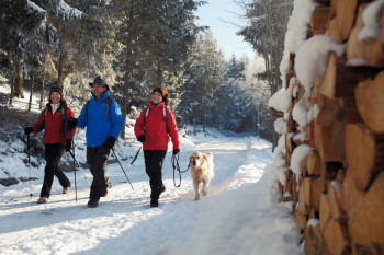 Der Hochschwarzwald lässt sich bei Spaziergängen gut entdecken.