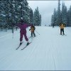 © www.losttrail.com