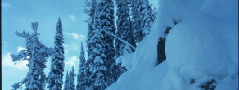© www.losttrail.com