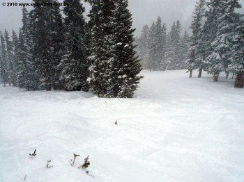 Excelleration-Piste!
