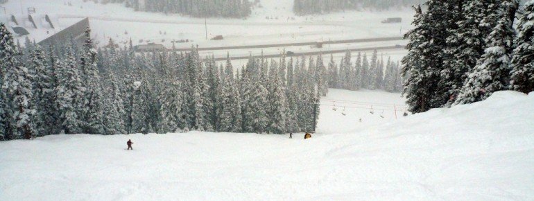 Cat’s Meow-Piste!