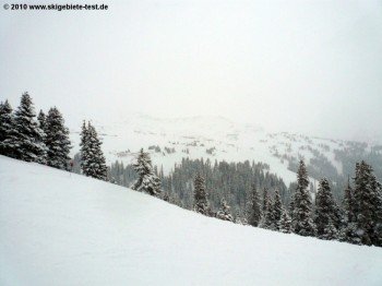 Blick auf das Off-Piste-Gelände „The Ridge“!