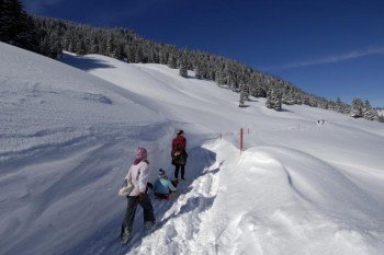 Schlitteln in Steg