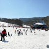 © www.massresort.com