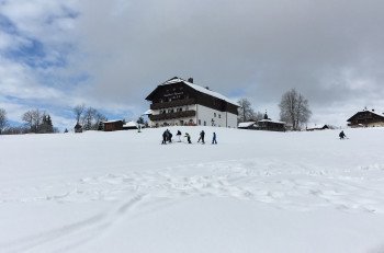 Einkehren kann man am Hang des Almwiesenlifts unter anderem im Gasthof Alpe.