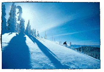© www.montanasnowbowl.com