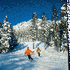 © www.montanasnowbowl.com