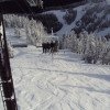 Acht verschiedene Liftanlagen bringen euch auf den Berg.