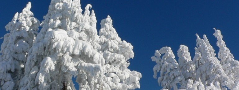 Die Schneebedingungen sind hier ausgesprochen gut.