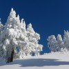 Die Schneebedingungen sind hier ausgesprochen gut.
