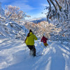 Mt Buller liegt in den Snowy Mountains.