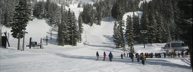 Mt Hood Meadows erstreckt sich über eine sehr große Fläche.