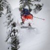 Zwischen den Bäumen von Mt Hood wird es sicher nicht langweilig.