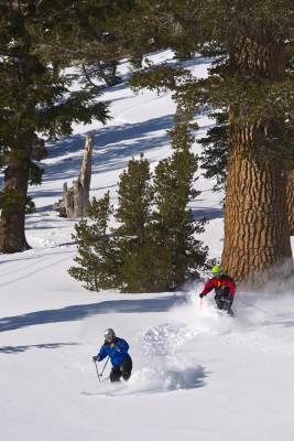 Mt Rose steht für unvergleichlichen Powder.