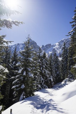 Die verschneiten Winterlandschaft im Muttereralmpark lädt zum Wandern.