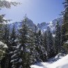 Die verschneiten Winterlandschaft im Muttereralmpark lädt zum Wandern.