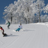 Ein wahres Schneeparadies! Eines der schönsten und expansivsten Wintersportgebiete Japans.