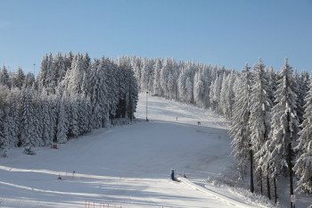 Zum Skifahren steht am Fallbachang eine 800 Meter lange Piste zur Verfügung.