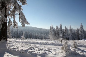 Die herrliche Winterlandschaft lädt nach dem Skifahren zum Spaziergang ein
