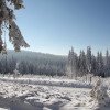 Die herrliche Winterlandschaft lädt nach dem Skifahren zum Spaziergang ein