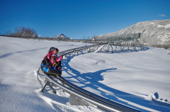 Der Allgäu-Coaster