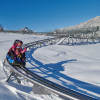 Der Allgäu-Coaster