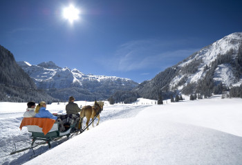 Mit dem Schlitten geht es auf der Passhöhe durch die verschneite Landschaft.