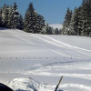 © www.ellegglift.de