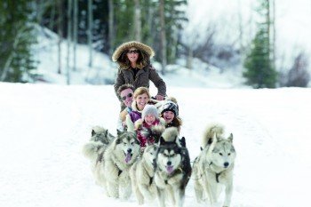 Ein weiteres Highlight abseits der Pisten in Park City: Hundeschlittenfahrten.