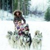 Ein weiteres Highlight abseits der Pisten in Park City: Hundeschlittenfahrten.