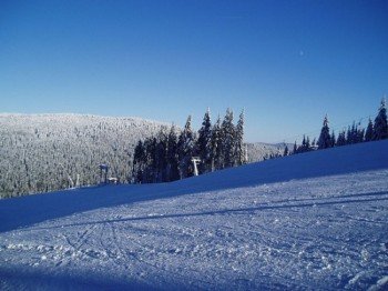 © ski-petrikov.cz