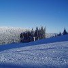 © ski-petrikov.cz