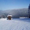 © ski-petrikov.cz
