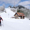 Der Pfänder ist auch bei Schneeschuh- und Winterwanderern beliebt.