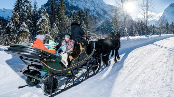 Pferdeschlittenfahrt in die Karwendeltäler in Pertisau