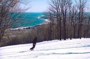 © http://www.skitheporkies.com