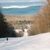 © http://www.skitheporkies.com