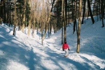 © http://www.skitheporkies.com