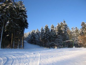 © sportprimda.cz