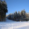 © sportprimda.cz