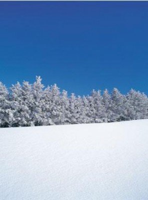 Wintersportler können im Skigebiet zwischen neun Abfahrten wählen