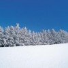 Wintersportler können im Skigebiet zwischen neun Abfahrten wählen