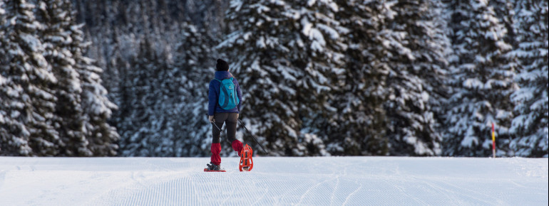 Auf geführten Schneeschuhwanderungen erkundest du die Landschaft rund um Rogla.
