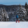 Auf geführten Schneeschuhwanderungen erkundest du die Landschaft rund um Rogla.